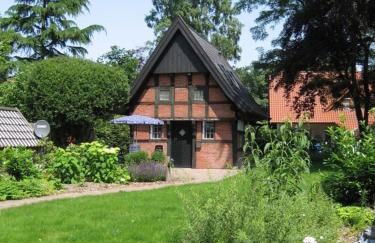 Backspieker BACK - Photo 3