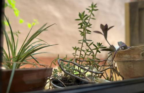 Apartamento Atalantar - Photo 47