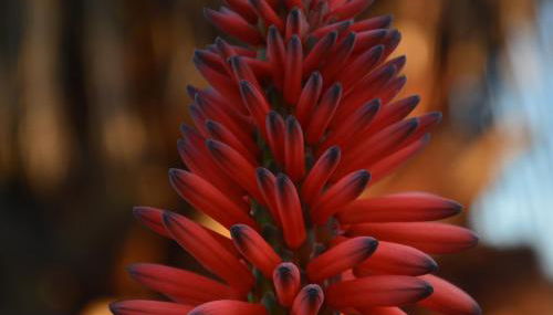 Agriturismo Torre Del Golfo - Foto 5, Other