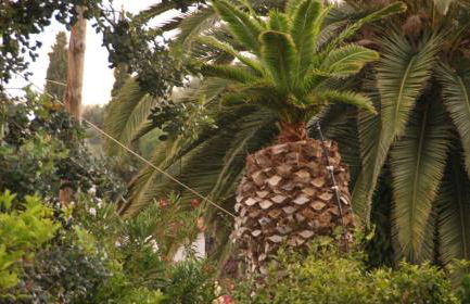 Villa Christina - Foto 29