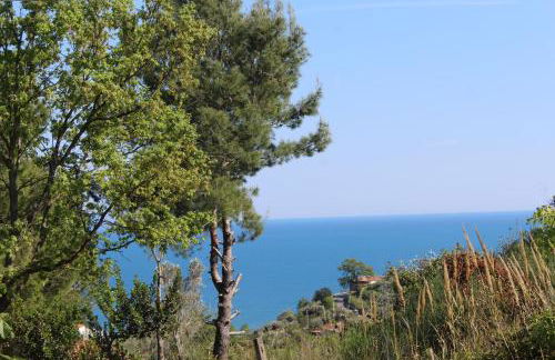 PioppiHouse - Foto 1