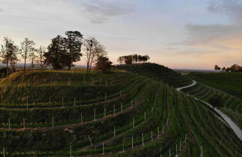 Kuća za odmor Štrigovski raj - Foto 26