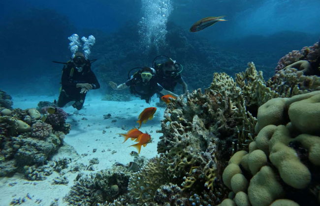 Bautismo de buceo en el Mar Rojo - Foto 11