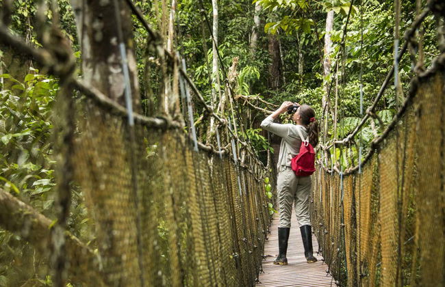 Amazon, Marañon & Ucayali 8-Day Luxury Cruise - Photo 3