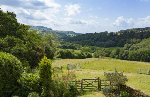 Five Acres - Foto 38