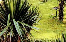 gîte du jardin secret - Foto 16