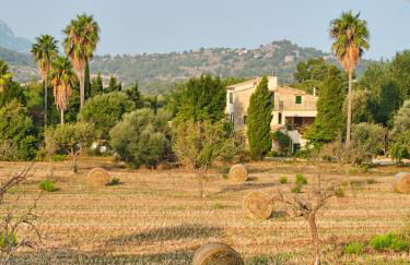 Sa Sinia - Finca en el corazón de la Tramuntana - Foto 49