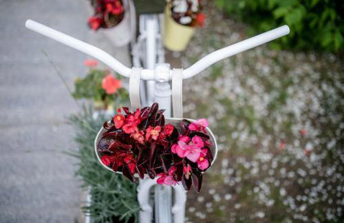 Apartmani Ana & Milo - Foto 8