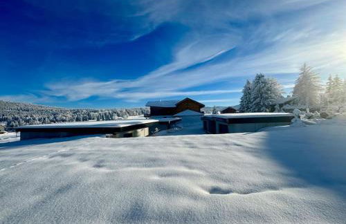 Les Terrasses du Noirmont 2 - Foto 45