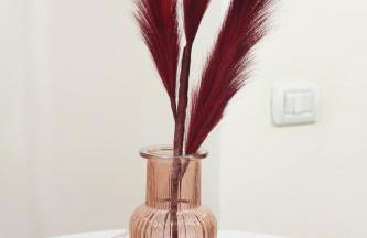 Suite Peretola Airport + Park - Foto 24