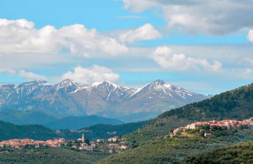 Apartment Mimosa by Interhome - Photo 43