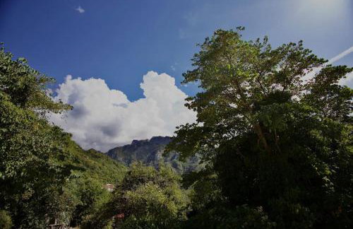 Mountain Harmony Home - Photo 10