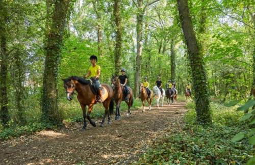 Villa Angelina La Baule - Photo 13