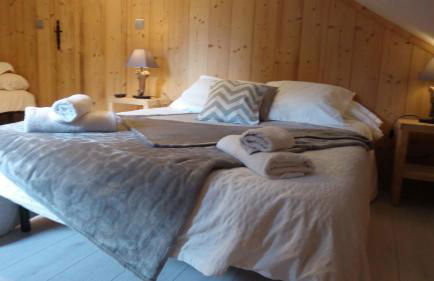 Le pic-vert - Foto 25