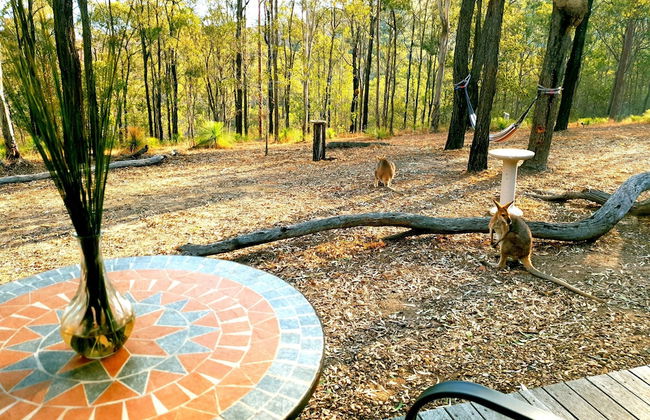 Ketchup's Bank Glamping - Foto 7