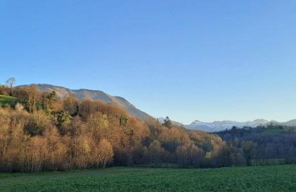 Coume a Case - Gîte 4 étoiles - Charme et nature Vallée d Ossau - Foto 25