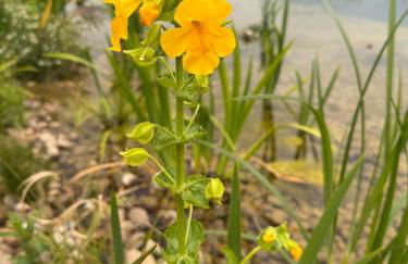 Gonerby Grange Farm Barn, Belton - Foto 37
