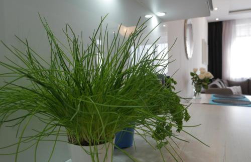 Apartament NA KLIFIE - Photo 6