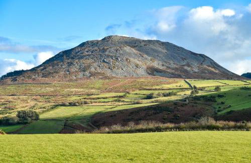 3 Bed in Dinas oc-lazyno - Photo 32