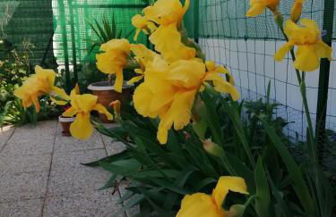 SOUS LE SOLEIL DE PROVENCE - Foto 26