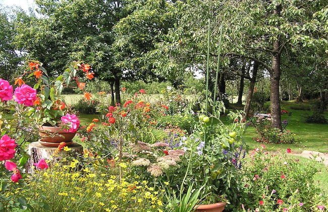 Cabane dans les Arbres - Tree House - Foto 30