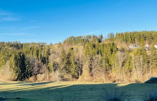 1 Zimmer Apartment im Schwarzwald - Foto 8