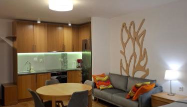 Apartamenty Rodzinne z ogródkiem - Foto 2