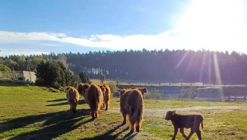 Awesome Apartment In Szlachta - Foto 2