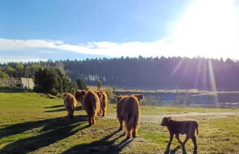 Awesome Apartment In Szlachta - Foto 2