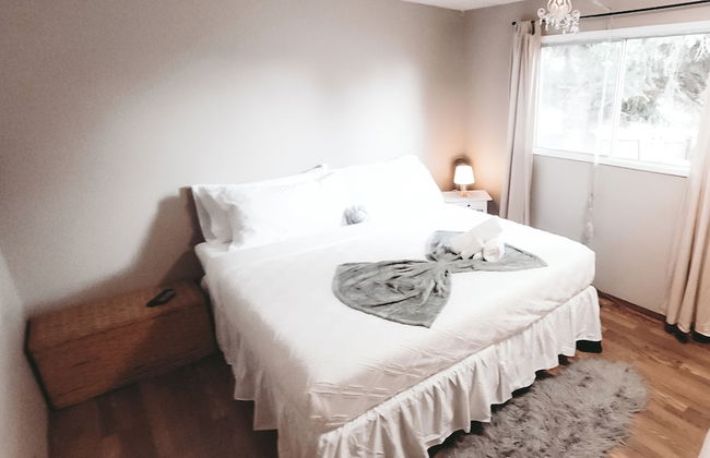 The Canary 223 - Photo 1