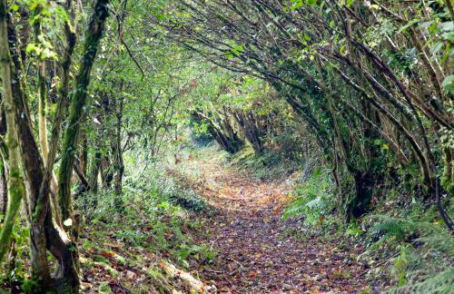 Uk45542-The Farm House - Foto 43