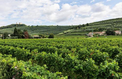 Dream Room Apartment - Foto 11