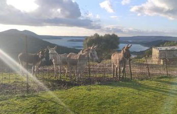 Finca Rural El Piketa - Foto 13