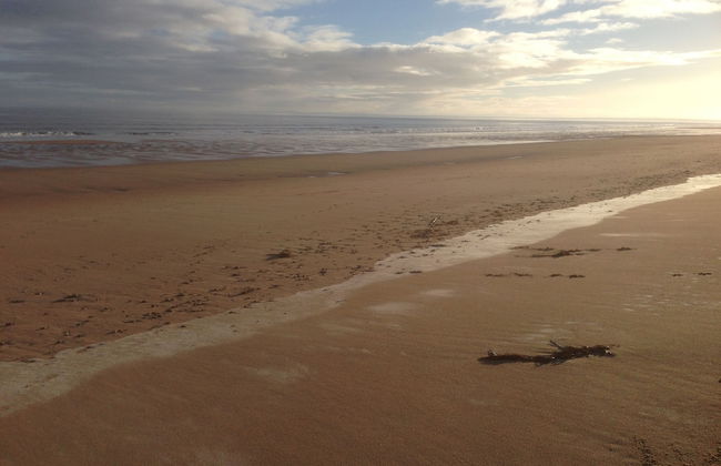 The Paddock - Foto 33