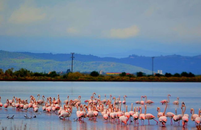 Lithos Messolongi Paradise - A Luxurious Retreat - Foto 3