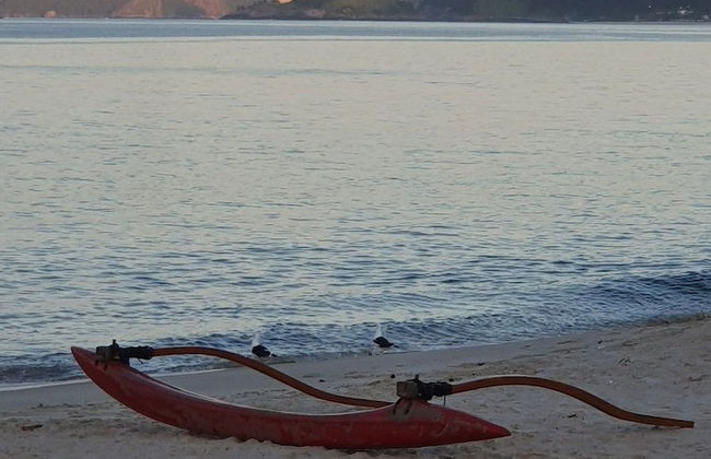 Andorinhas - Foto 64