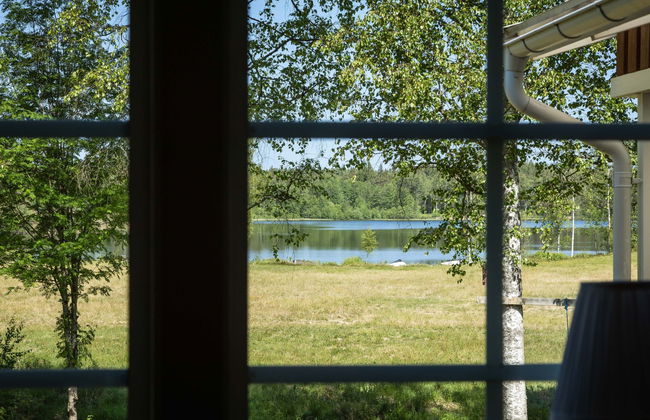 Vänneböke - Foto 13