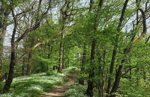 Haus Alleegarten - Foto 4