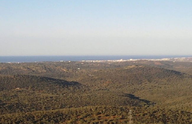 Casa Adega - Quinta Amoreira - Foto 42