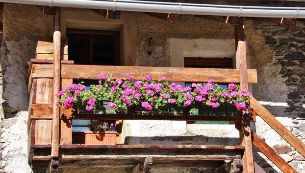 Gran Paradiso National Park Carriage Tour - Foto 2