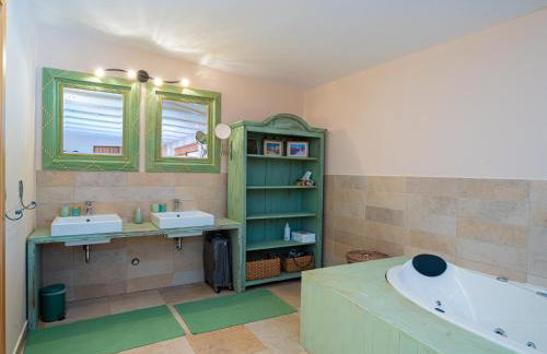 Villa Benka, Istrian stone house - Foto 67