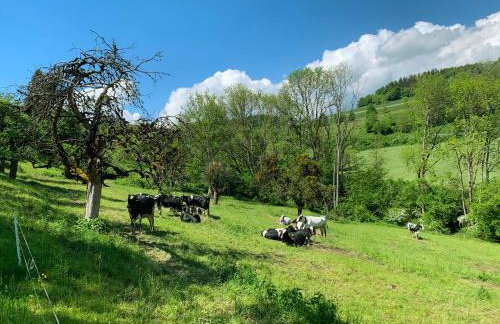 Stilvoll eingerichtetes Studio in historischem Bauernhaus, voll ausgestattet inmitten der Natur auf 75 qm - Foto 29