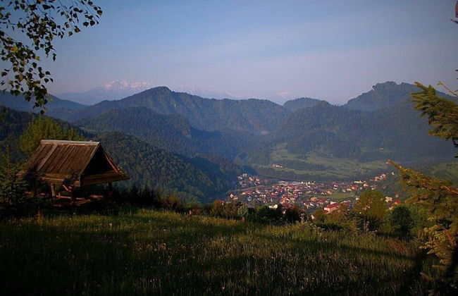 Jaworki Green Dream - Foto 49