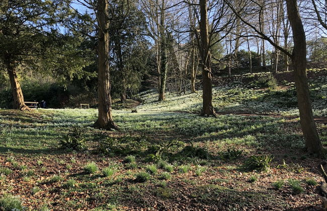 Cotswold Lodge - Photo 50