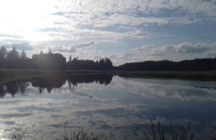 Białowieża Spanie na sianie Puszcza Białowieska - Foto 10