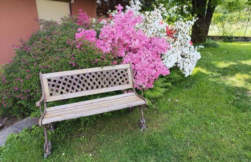 B&B Il Melograno - Foto 36