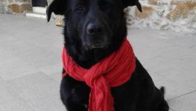 Casa de Coco - Foto 3