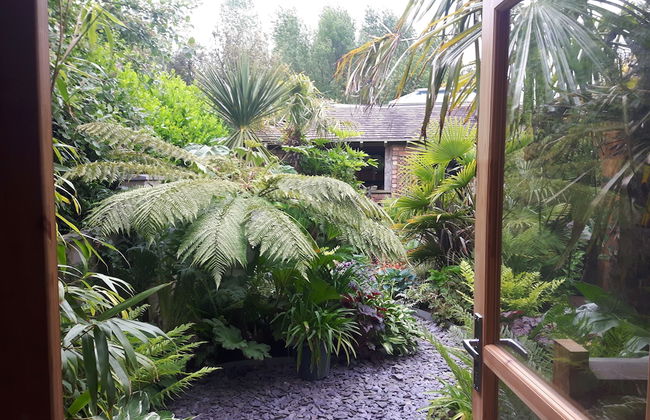 Cabin set in a Beautiful Romantic Tropical Garden - Foto 19