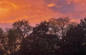 Briary Cottages at Iletts Farm - Photo 48