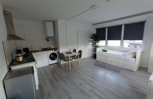 Einzimmer Apartment für Handwerker und Monteure - Foto 3